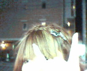 20081104234055.jpg